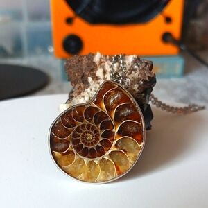 Ammonite Pendant Necklace